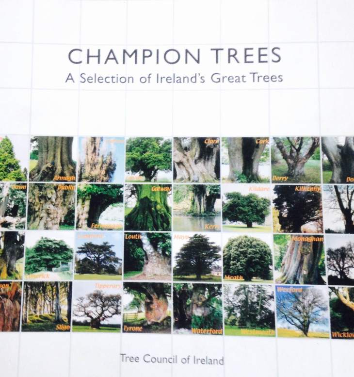 Champion Trees - a selection of Ireland's Great Trees- the tree council of Ireland